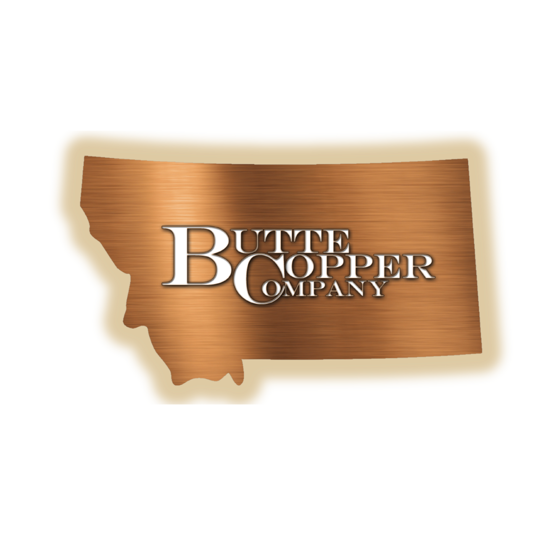 Butte Copper Company