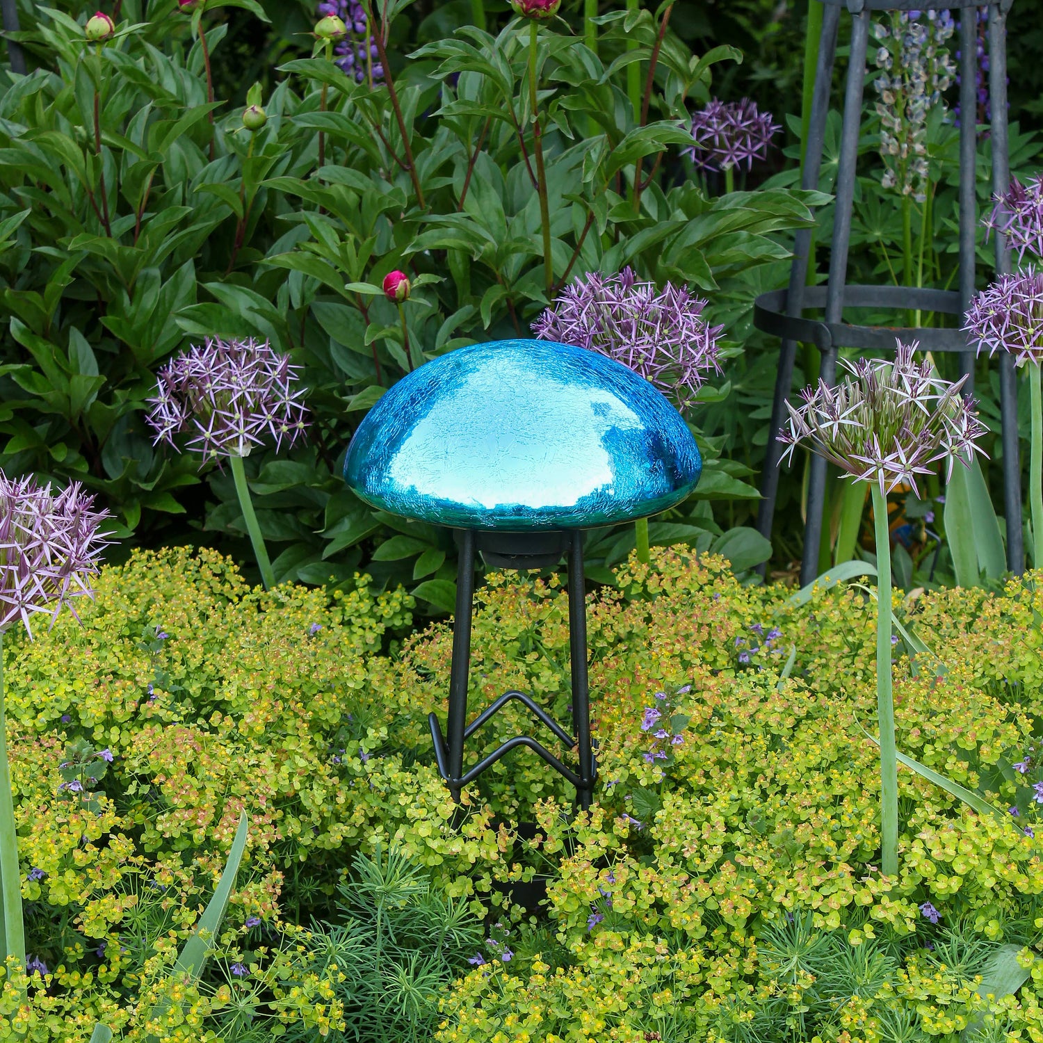 Toadstool, Teal