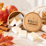 Montana Bigwick Fall Festival wax melts